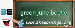 WordMeaning blackboard for green june beetle